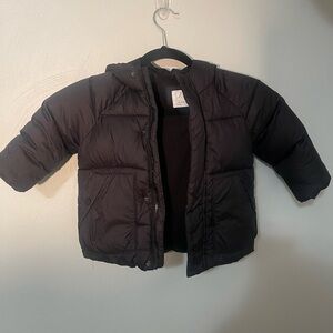 Zara Toddler Jacket
